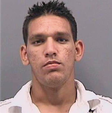 Sosafernandez Jesus - Hillsborough County, FL 