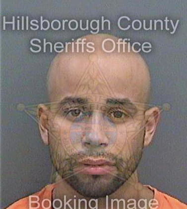 Fernandez Rafael - Hillsborough County, FL 