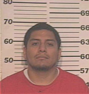 Navarro Raul - Hidalgo County, TX 