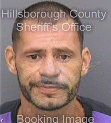 Perez Josue - Hillsborough County, FL 