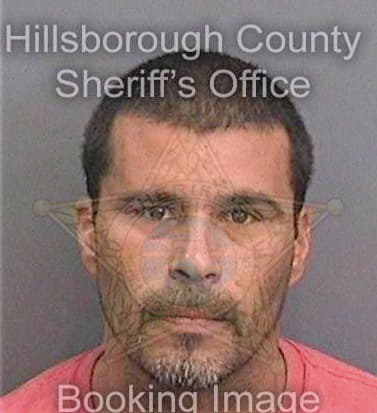 Gonzalezguindin Ramon - Hillsborough County, FL 