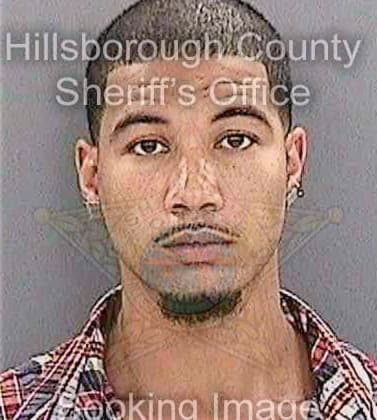 Bell Arnold - Hillsborough County, FL 