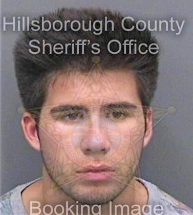 Bollinger David - Hillsborough County, FL 
