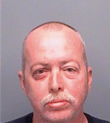 Mccourt David - Pinellas County, FL 