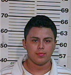 Hernandez Ramiro - Hidalgo County, TX 