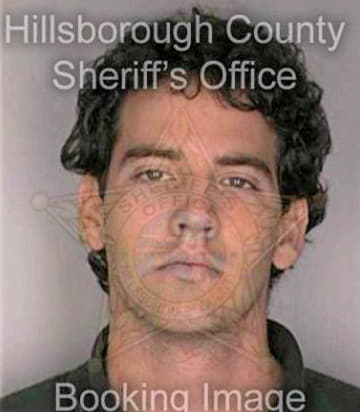 Johnson David - Hillsborough County, FL 