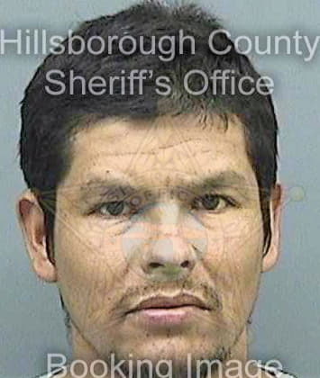 Giron Esteban - Hillsborough County, FL 