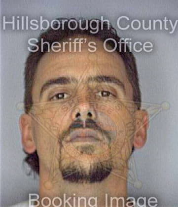 Mcquinn Harry - Hillsborough County, FL 