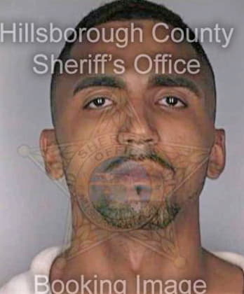 Santiago Josue - Hillsborough County, FL 