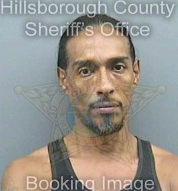 Serrano Luis - Hillsborough County, FL 