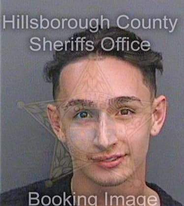 Sierragarcia Andres - Hillsborough County, FL 