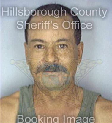 Santiago Hector - Hillsborough County, FL 