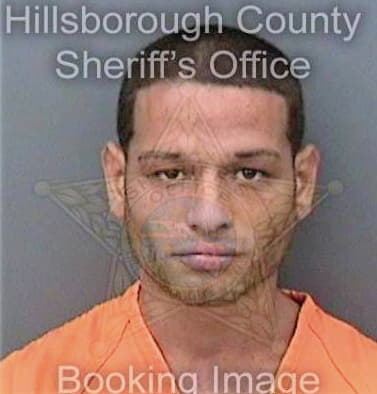 Cintronsosa Jonathan - Hillsborough County, FL 