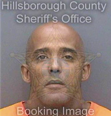 Lugohernandez Miguel - Hillsborough County, FL 