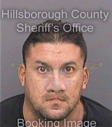 Figueroagonzalez Alex - Hillsborough County, FL 