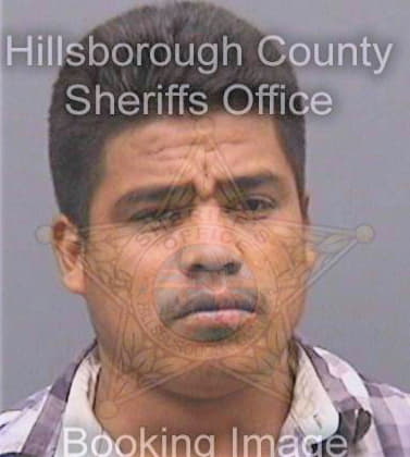 Martinez Alberto - Hillsborough County, FL 