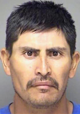 Hernandez Bonifasio - Denton County, TX 