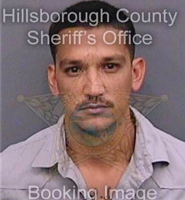 Mendiola Miguel - Hillsborough County, FL 