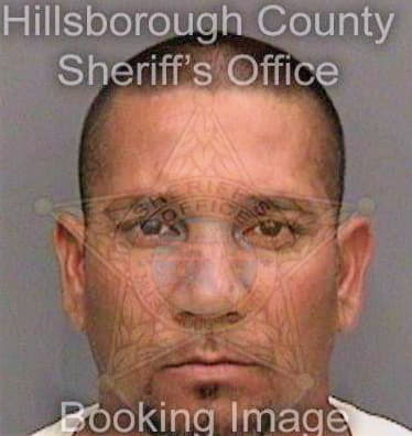 Perez Norberto - Hillsborough County, FL 