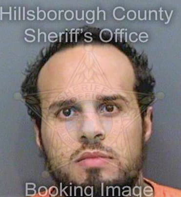 Gonzalez Robert - Hillsborough County, FL 