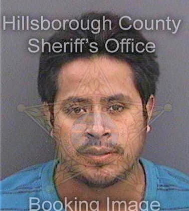 Vasquez Faustino - Hillsborough County, FL 