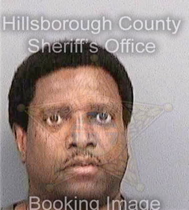 Frison Willie - Hillsborough County, FL 