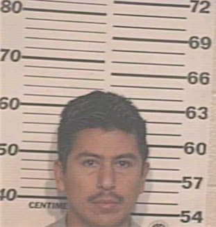 Alaniz Alvaro - Hidalgo County, TX 