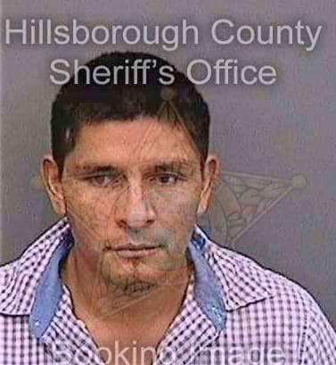 Fernandezrosales Noel - Hillsborough County, FL 