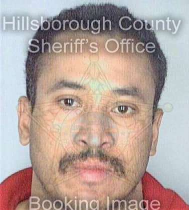 Encarnacion Adolfo - Hillsborough County, FL 