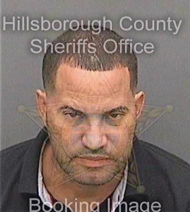 Mendozalebron Elvin - Hillsborough County, FL 