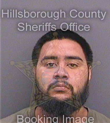 Villarreal David - Hillsborough County, FL 