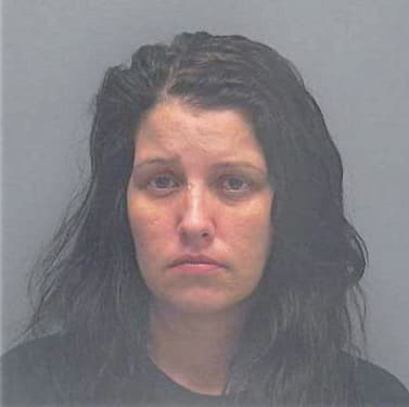 Sleighter Michelle - Lee County, FL 