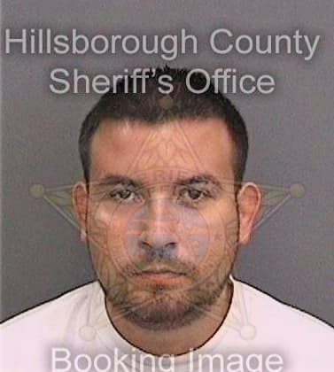 Randall William - Hillsborough County, FL 