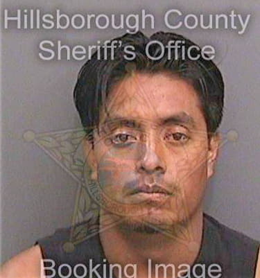 Juarezcanseco Hector - Hillsborough County, FL 