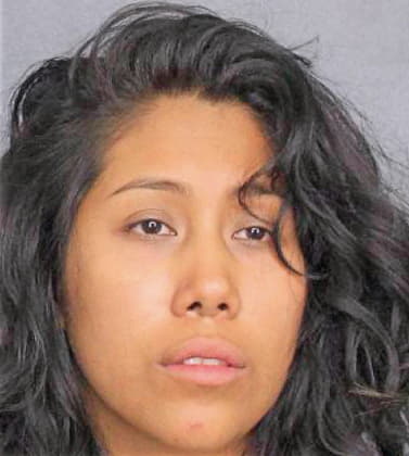 Hernandez Briseida - Broward County, FL 