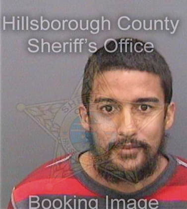 Ferrer Jonathan - Hillsborough County, FL 