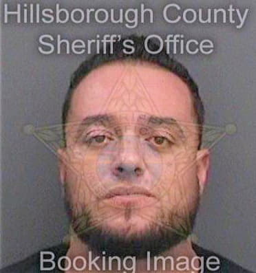 Ramirez Michael - Hillsborough County, FL 