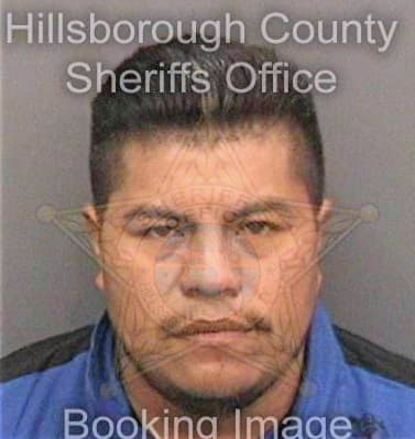 Mejiamartinez Joaquin - Hillsborough County, FL 