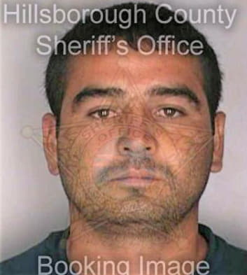 Juarez Jose - Hillsborough County, FL 