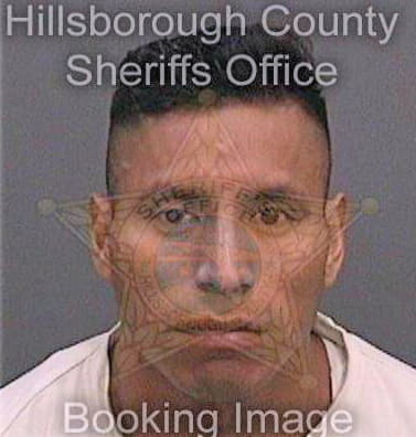 Godinezgarcia Victor - Hillsborough County, FL 