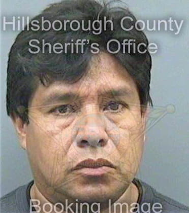 Cruzgonzalez Fidel - Hillsborough County, FL 