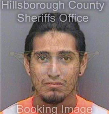 Guevara Marco - Hillsborough County, FL 