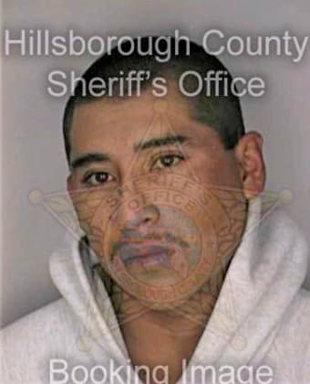 Vazquez Samuel - Hillsborough County, FL 