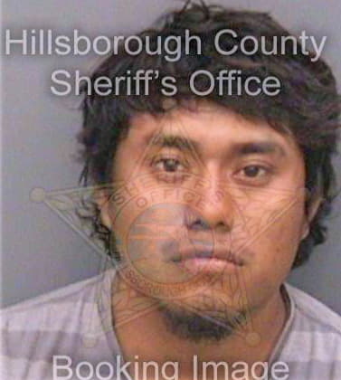 Jimenezguzman Augustin - Hillsborough County, FL 