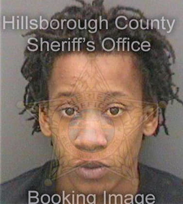 Mcgee Beyunka - Hillsborough County, FL 