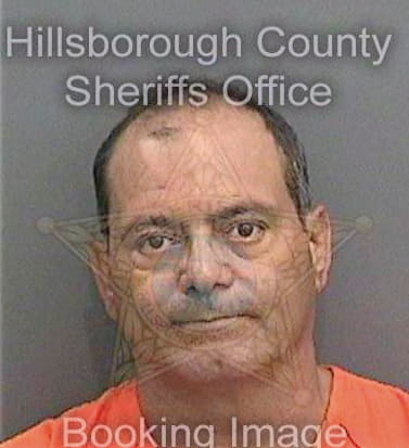 Vega Carlos - Hillsborough County, FL 