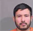 Hernandez Miguel - McHenry County, IL 