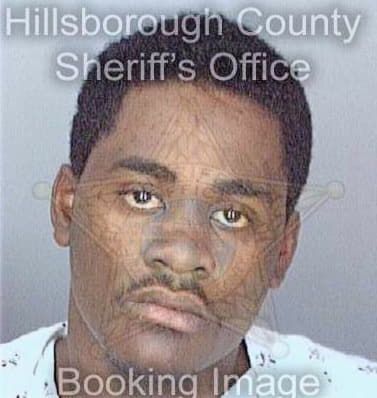 Lewis Omar - Hillsborough County, FL 