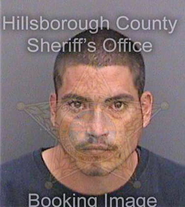 Reyesrivera John - Hillsborough County, FL 