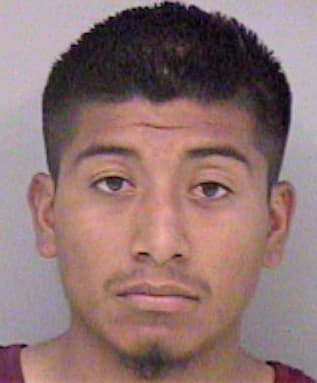 Hernandez Vicente - Madera County, CA 